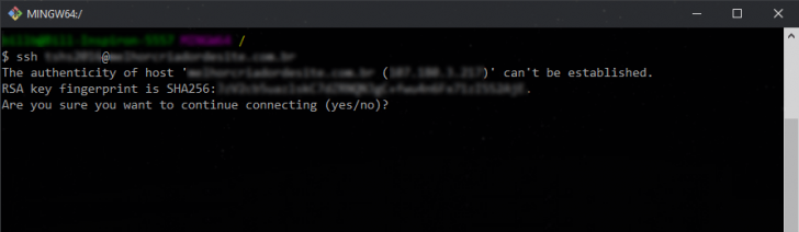 SSH: autorização no terminal