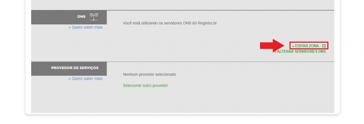 Tela de edição de DNS, no painel do Registro.br