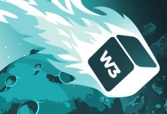 W3 Total Cache: plugin para WordPress